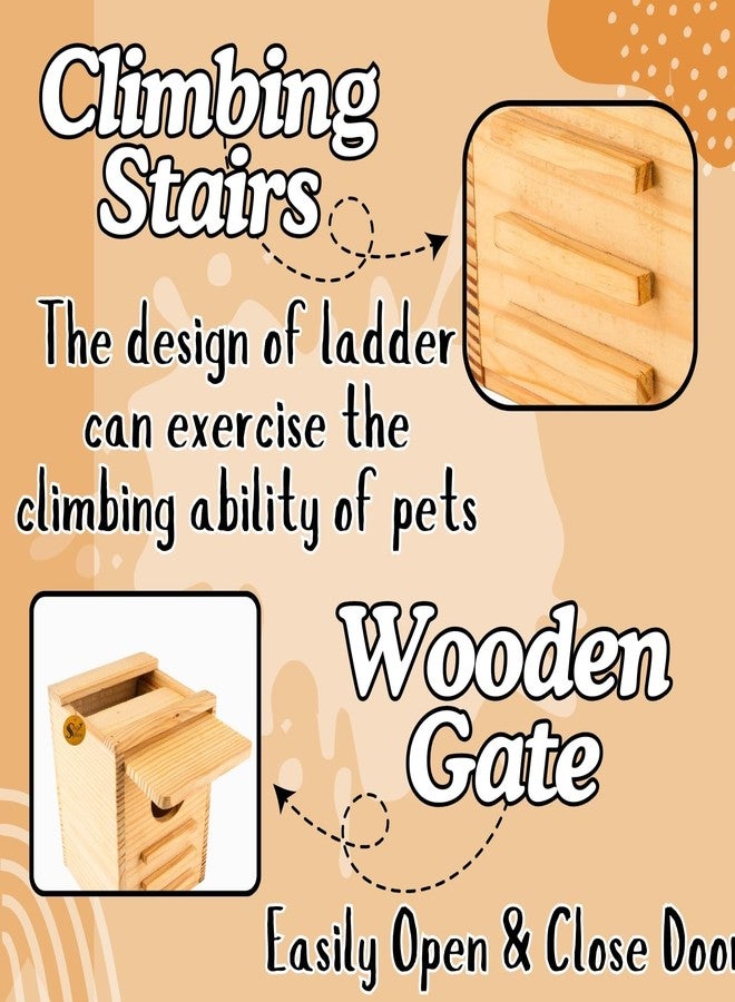 Sage Square Sugar Glider Wooden Hide House - Handcrafted Natural Wood Habitat for Small Pets, Safe, Cozy, Durable, Sugar Gliders, Hamsters, Eco-Friendly, Easy Clean, Enhance Pet’s Comfort & Security - Image 4